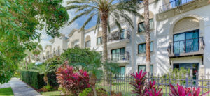 exterior palm trees and balconies