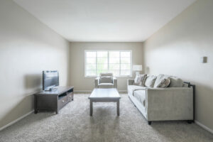 bright carpeted living room with furniture